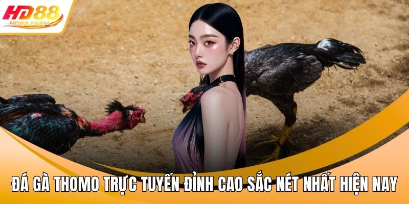 Đá gà thomo