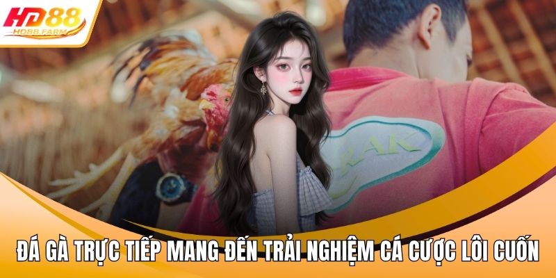 Đá gà trực tiếp