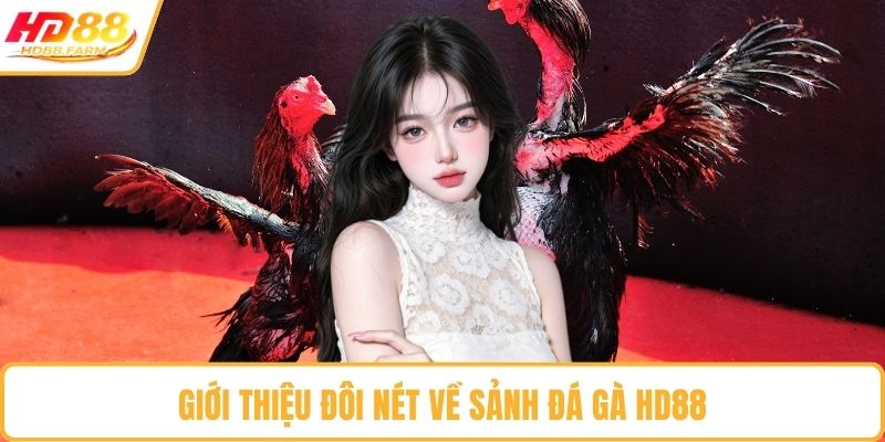 Giới thiệu đôi nét về sảnh đá gà HD88