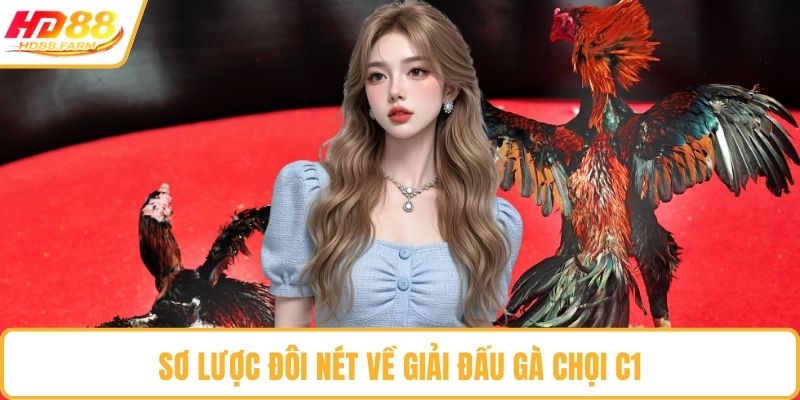 Sơ lược đôi nét về giải đấu gà chọi C1