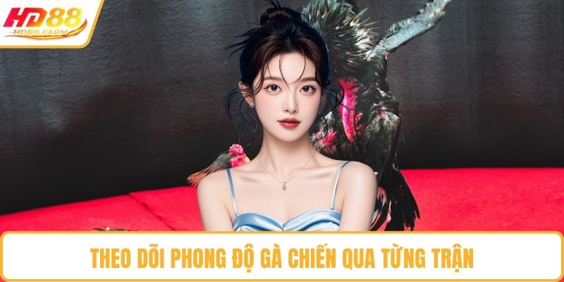 Theo dõi phong độ gà chiến qua từng trận