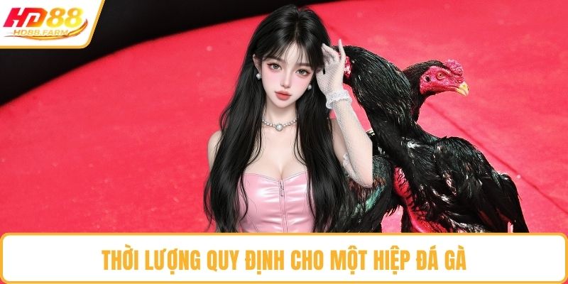 Thời lượng quy định cho một hiệp đá gà